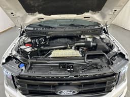 Extra Photo