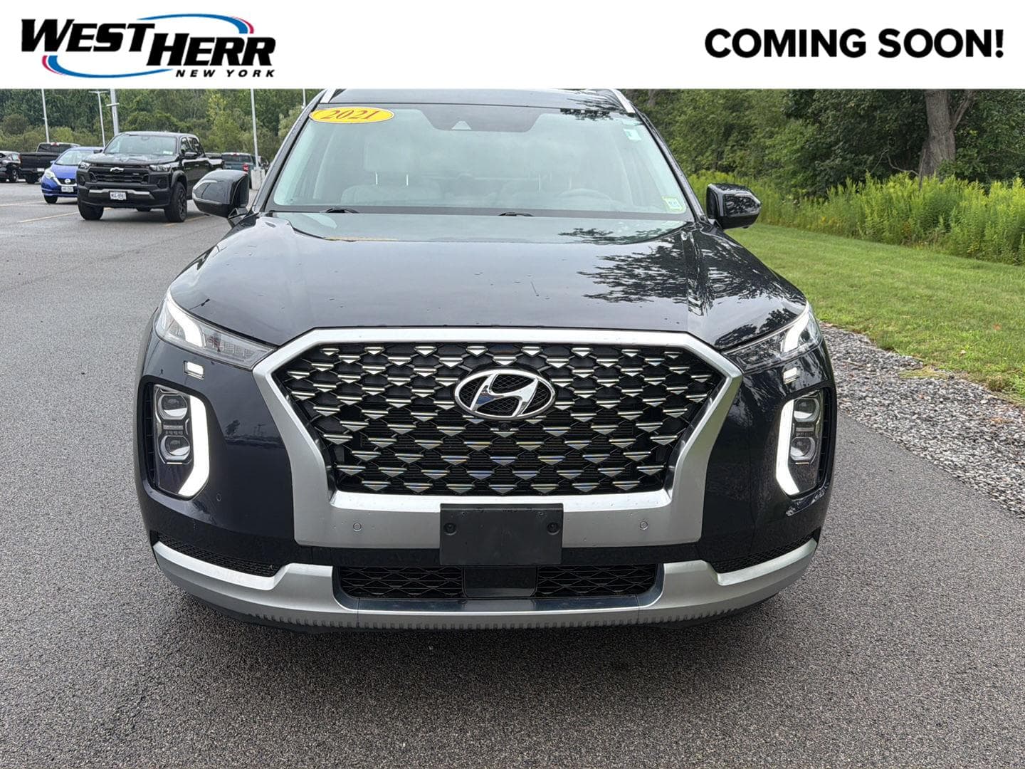 2021 Hyundai Palisade Calligraphy — photo 1 of 21