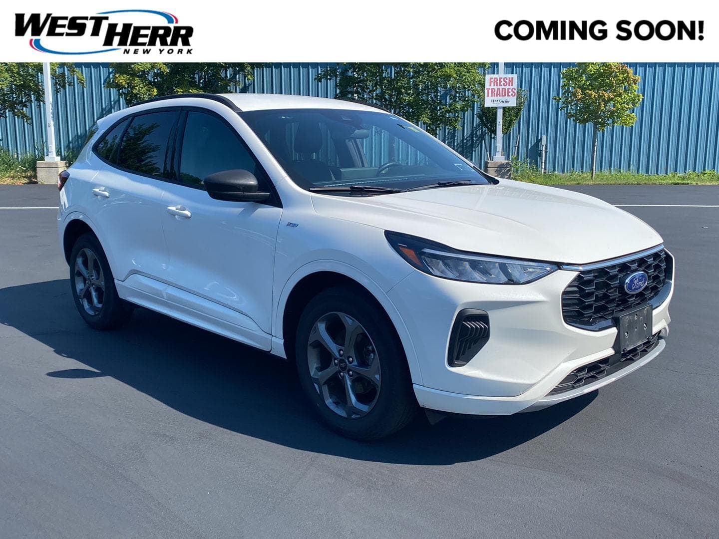 2023 Ford Escape ST-Line — photo 1 of 22
