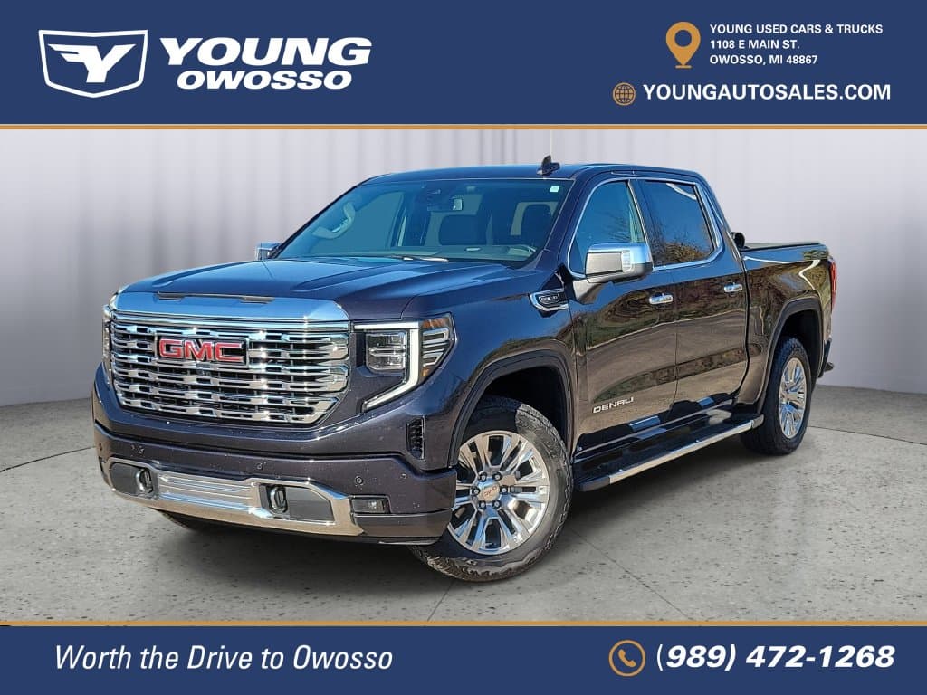 2025 GMC Sierra 1500 Denali — photo 1 of 31