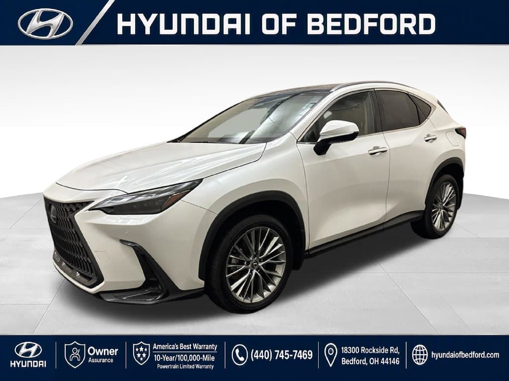2024 Lexus NX Base — photo 1 of 33
