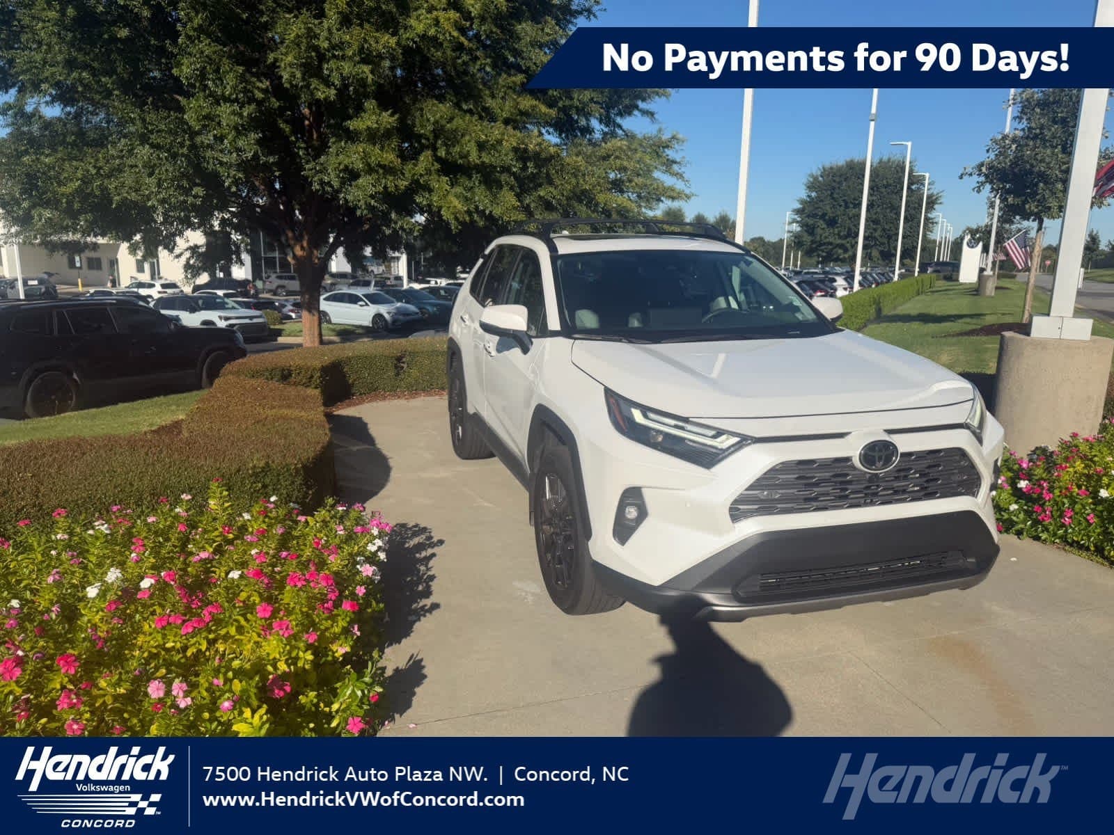 2025 Toyota RAV4 Limited — photo 1 of 12