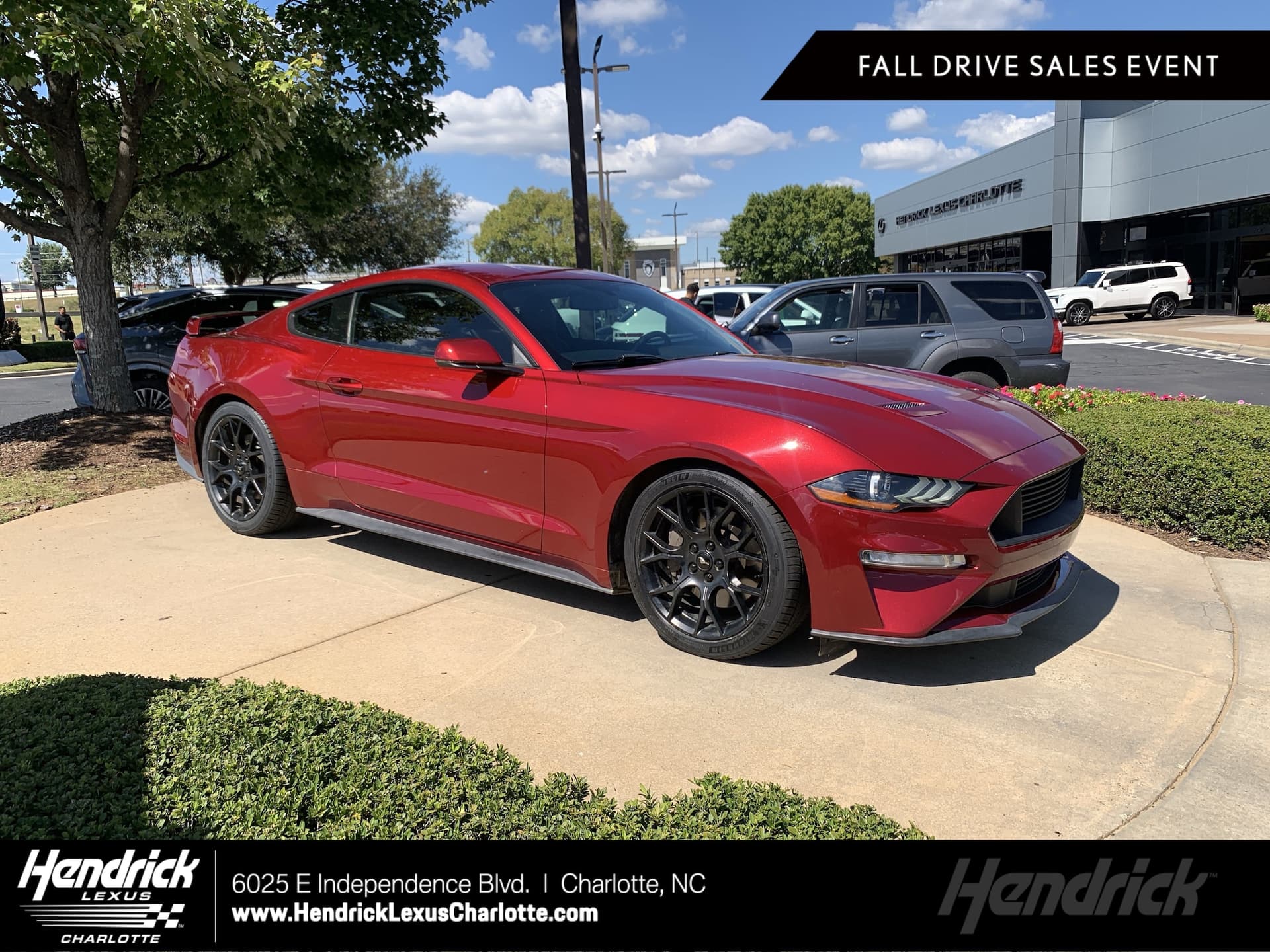 2019 Ford Mustang EcoBoost Premium — photo 1 of 36