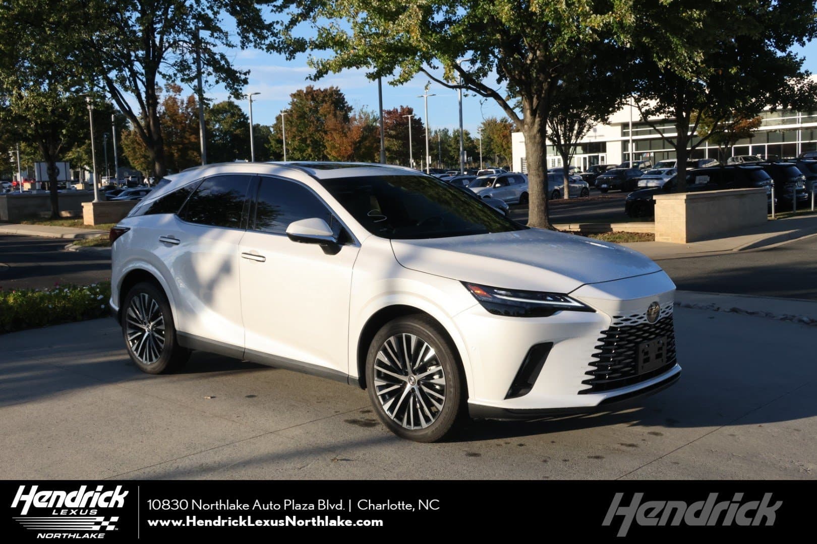 2024 Lexus RX Base — photo 1 of 36
