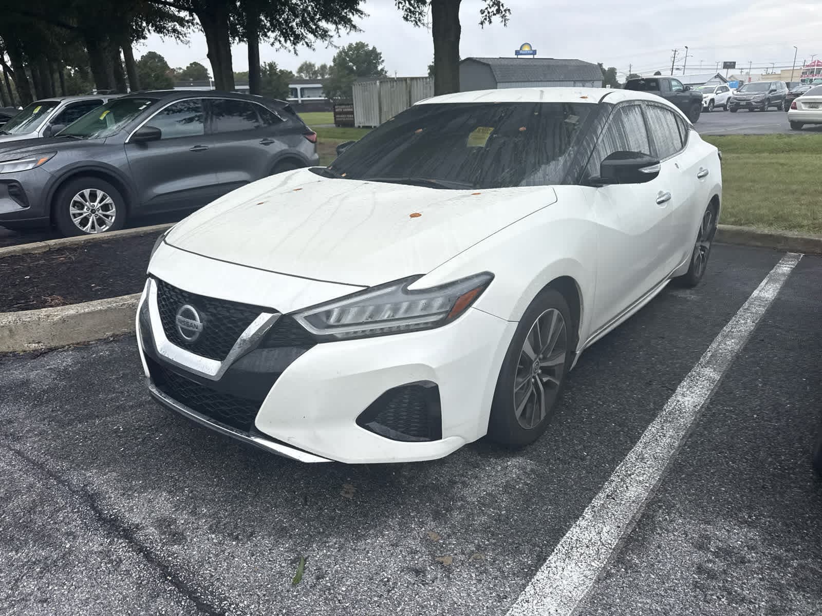 2022 Nissan Maxima SV — photo 1 of 8