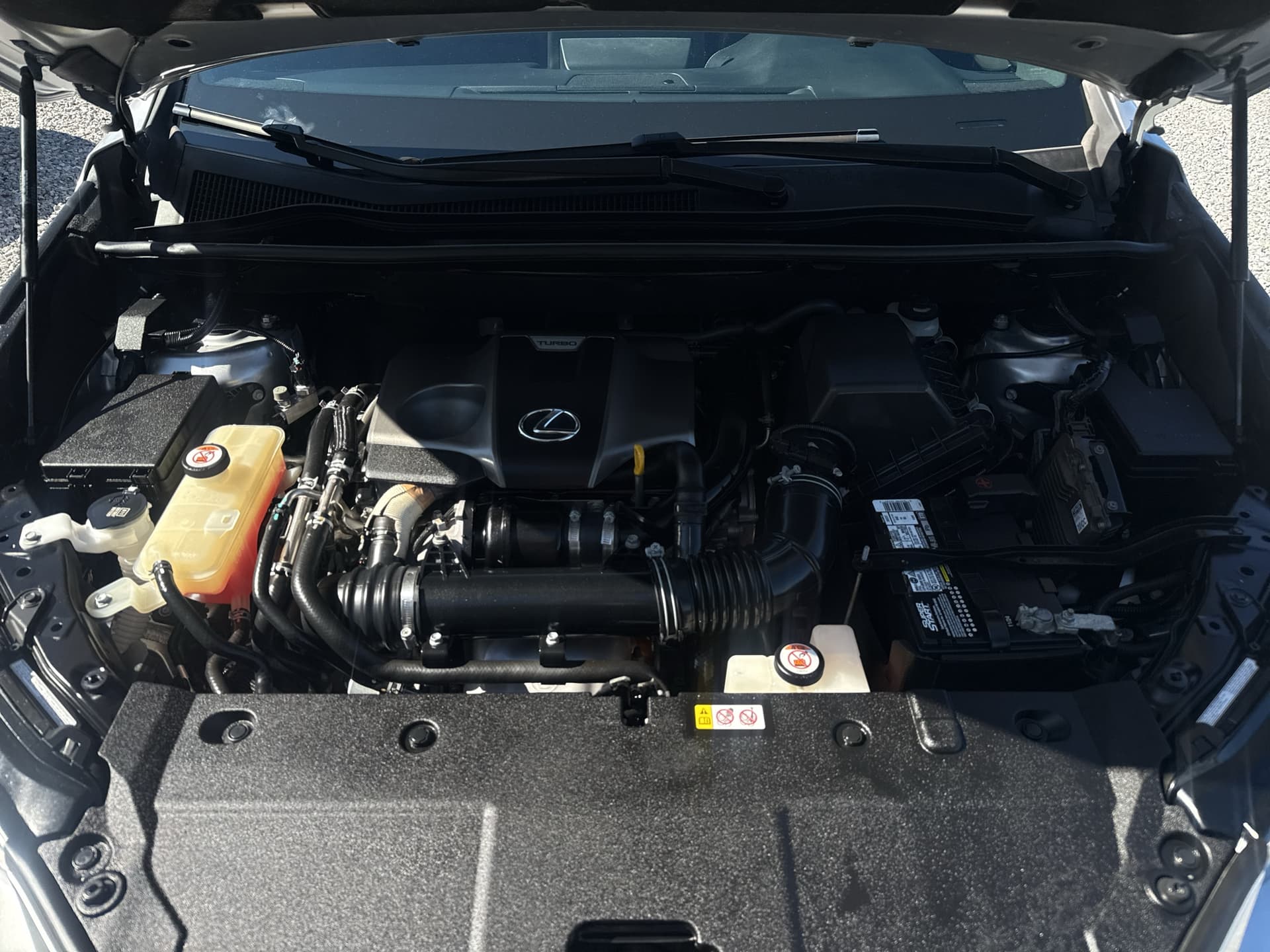 2019 Lexus NX Base — photo 1 of 25