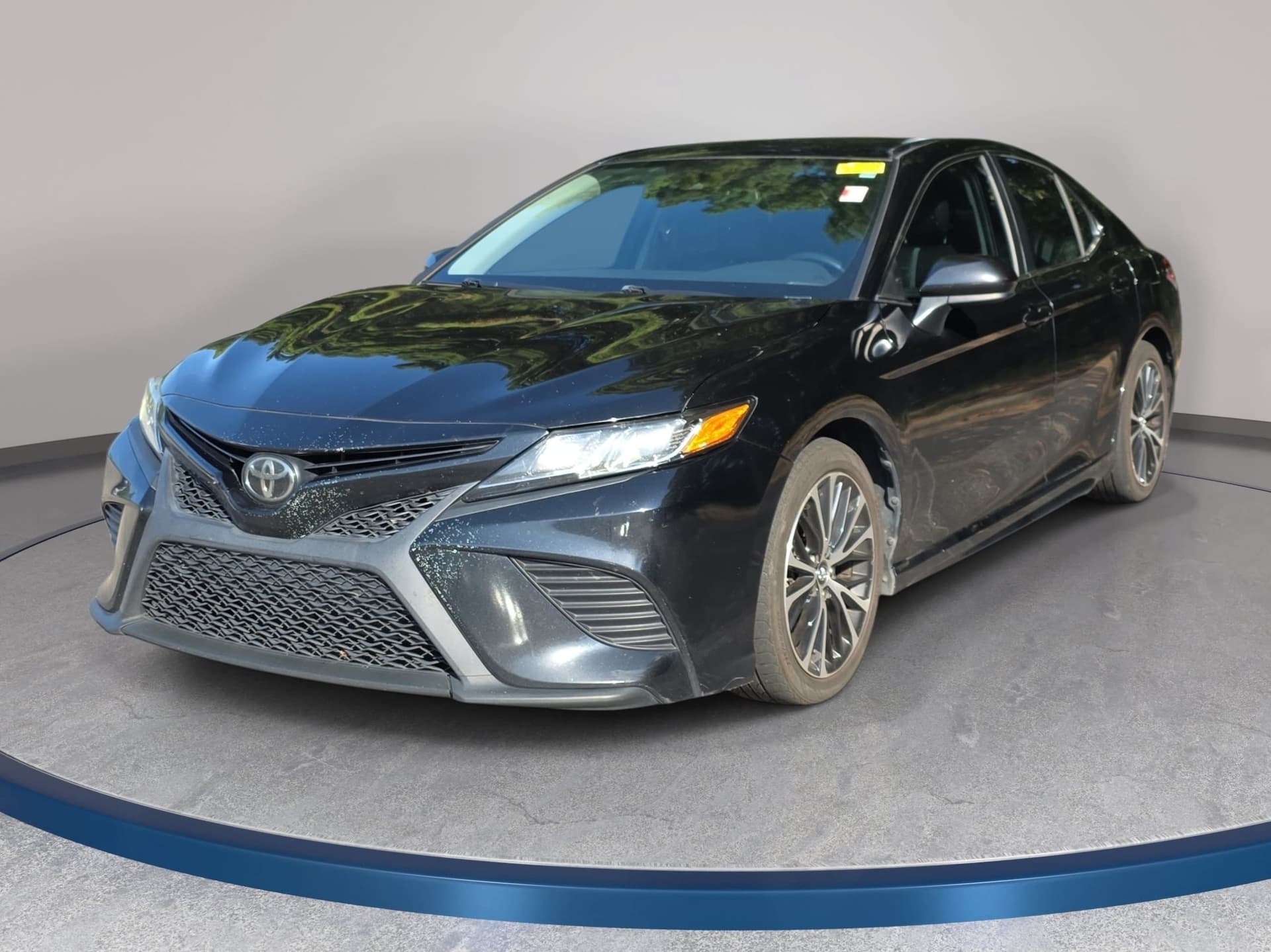 2019 Toyota Camry SE — photo 1 of 13