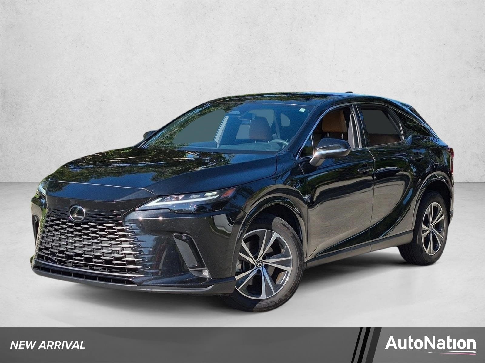 2025 Lexus RX Base — photo 1 of 17