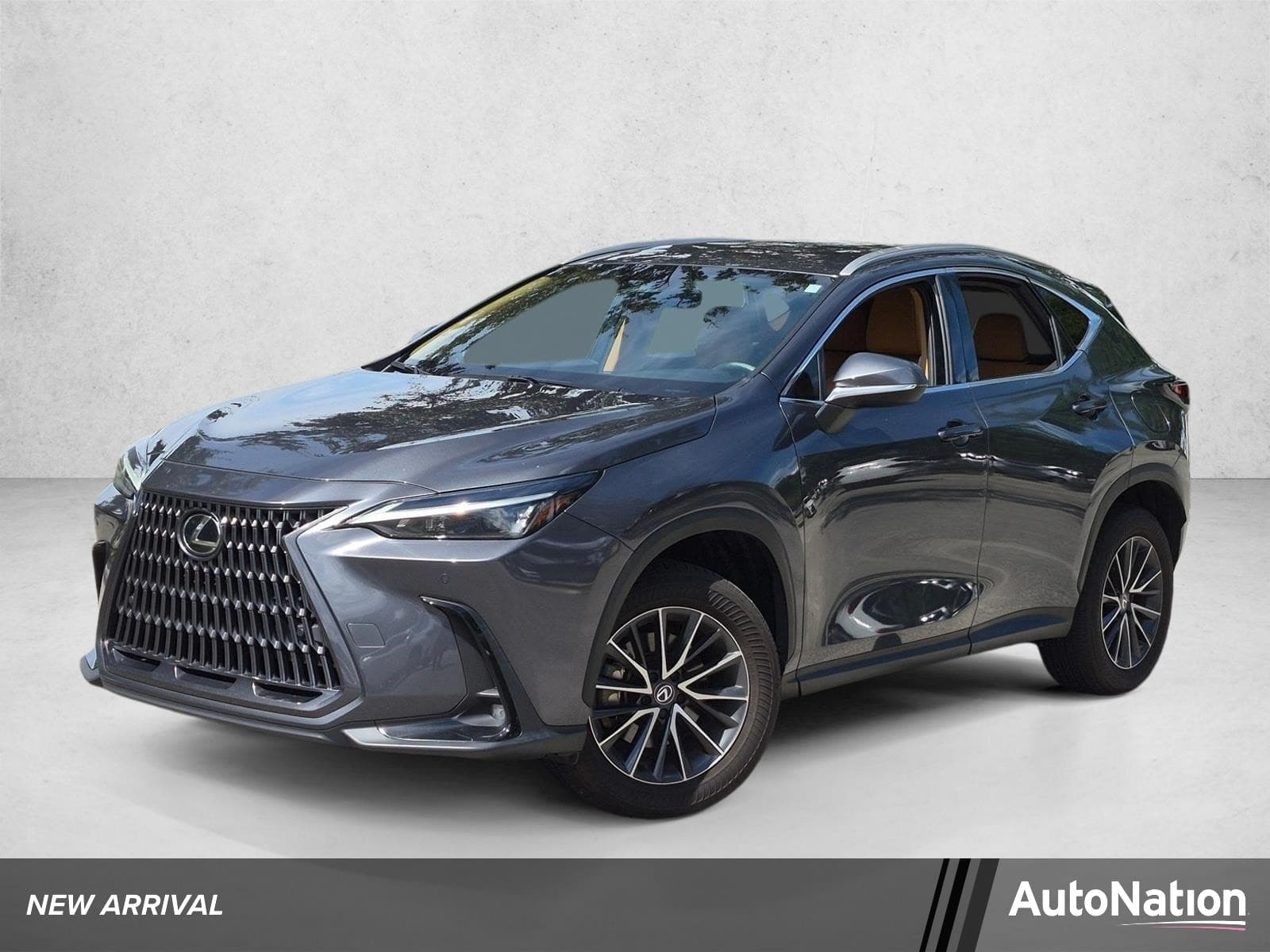 2025 Lexus NX NX 250 — photo 1 of 17