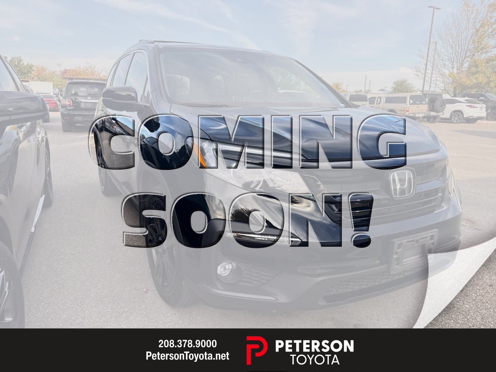 2022 Honda Pilot Special Edition — photo 1 of 2