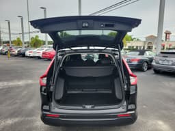 Extra Photo