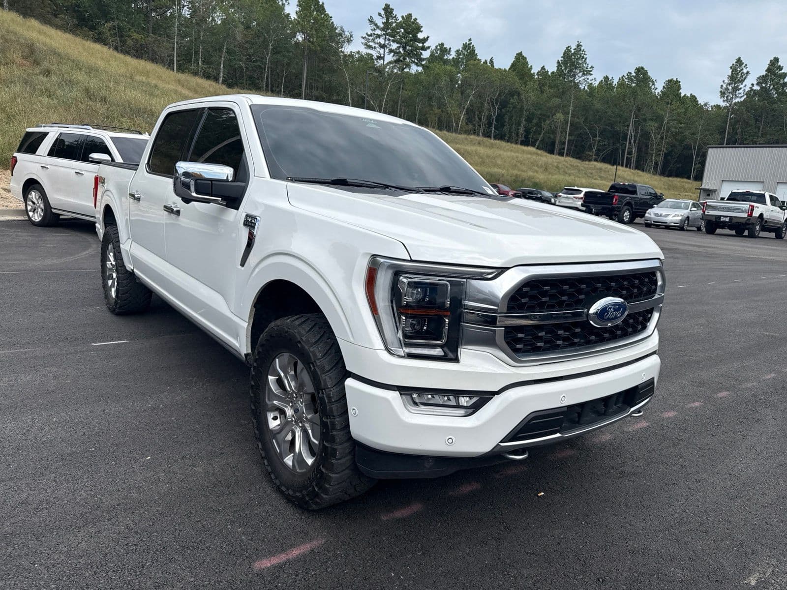 2021 Ford F-150 Platinum — photo 1 of 8