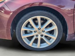 Extra Photo