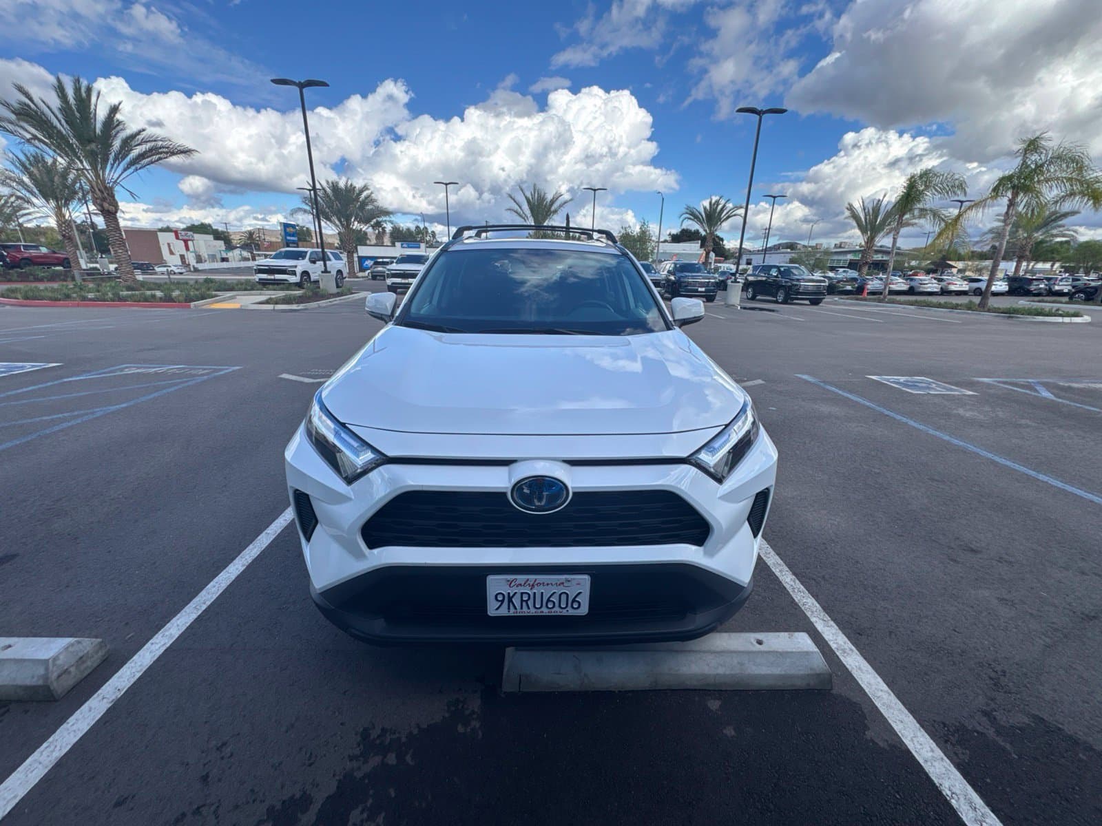 2024 Toyota RAV4 Hybrid XLE — photo 1 of 13