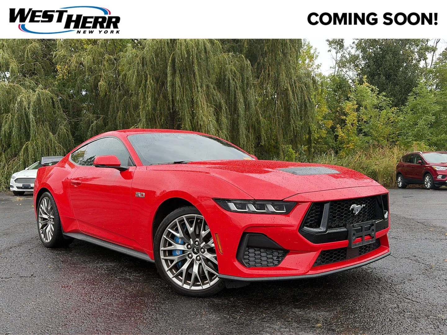 2024 Ford Mustang GT Premium — photo 1 of 8