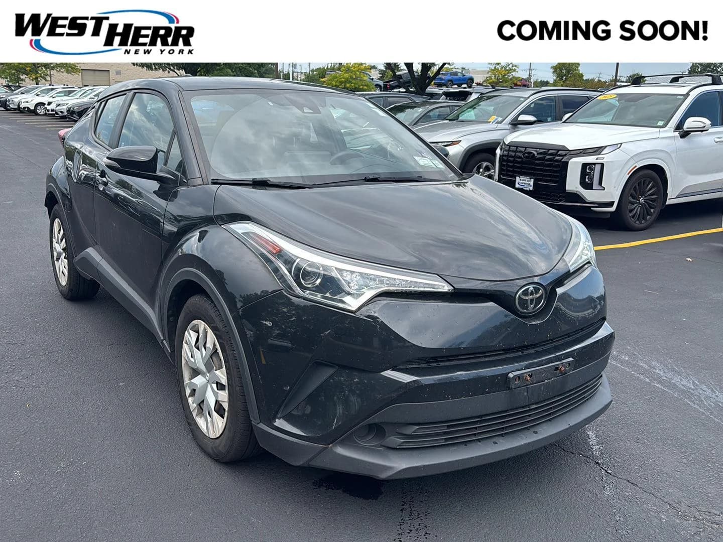 2019 Toyota C-HR LE — photo 1 of 12