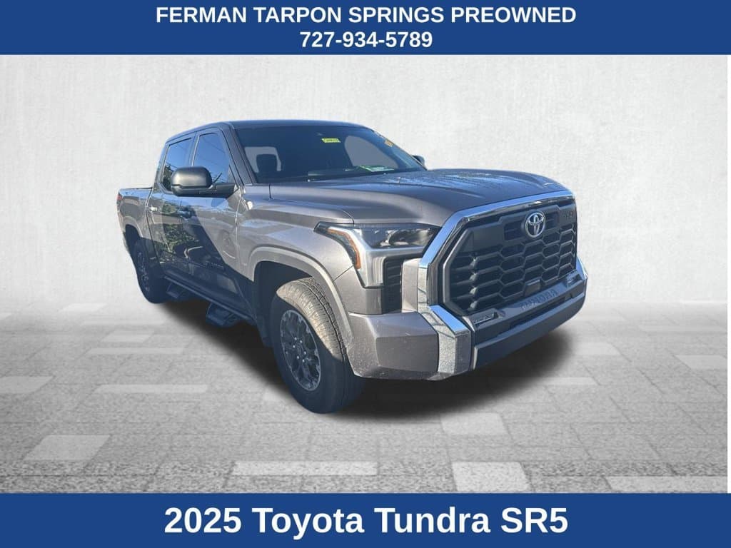 2025 Toyota Tundra 4WD SR5 — photo 1 of 9