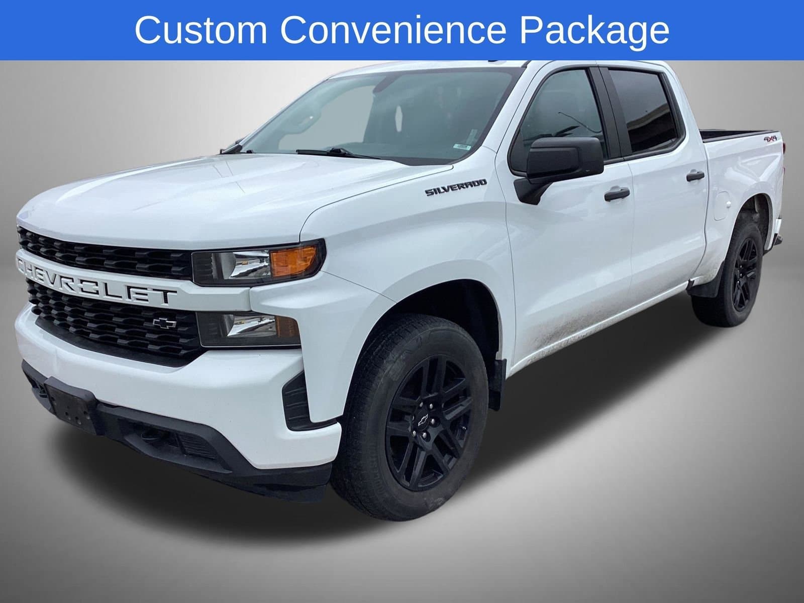 Vehicle Detail Icon