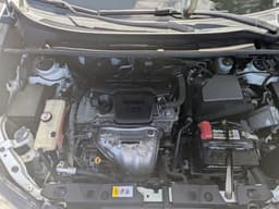 Extra Photo