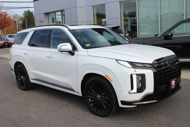 2024 Hyundai Palisade Calligraphy Night Edition — photo 1 of 41