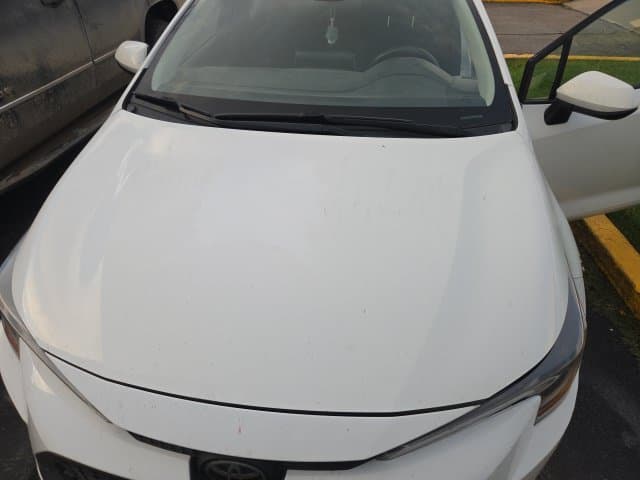2020 Toyota Corolla LE — photo 1 of 7