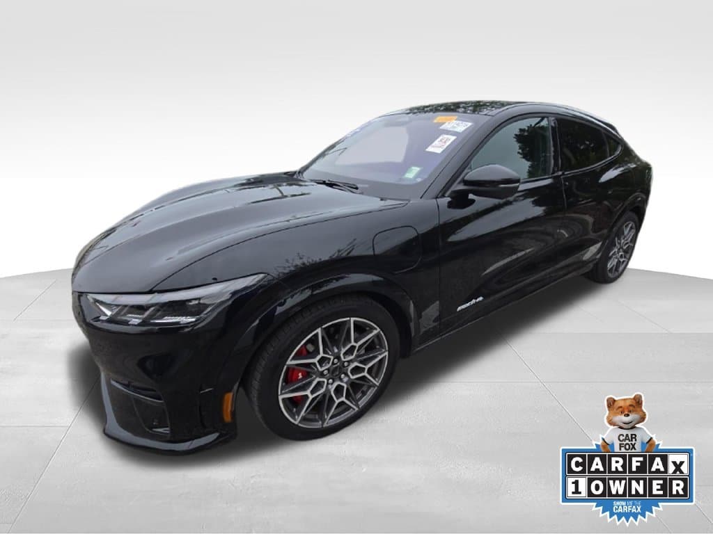 2025 Ford Mustang Mach-E GT — photo 1 of 18
