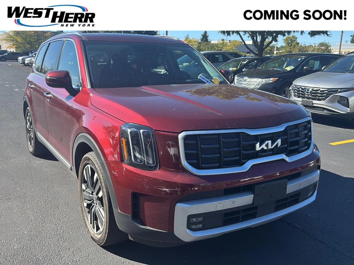 2024 Kia Telluride SX Prestige — photo 1 of 22