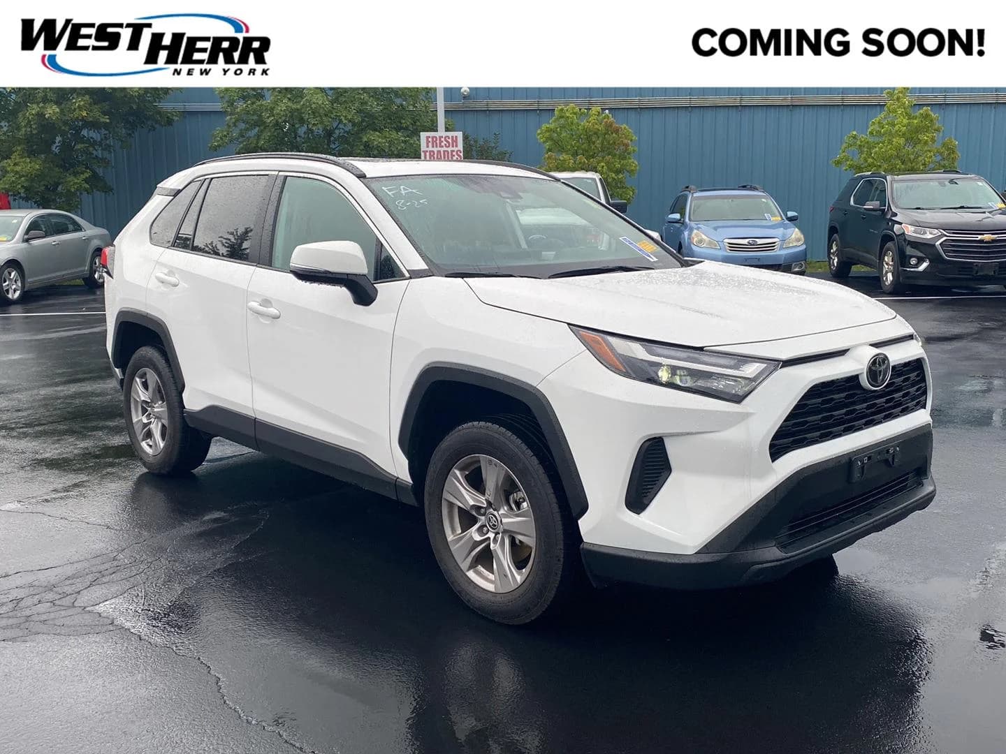 2025 Toyota RAV4 XLE — photo 1 of 22