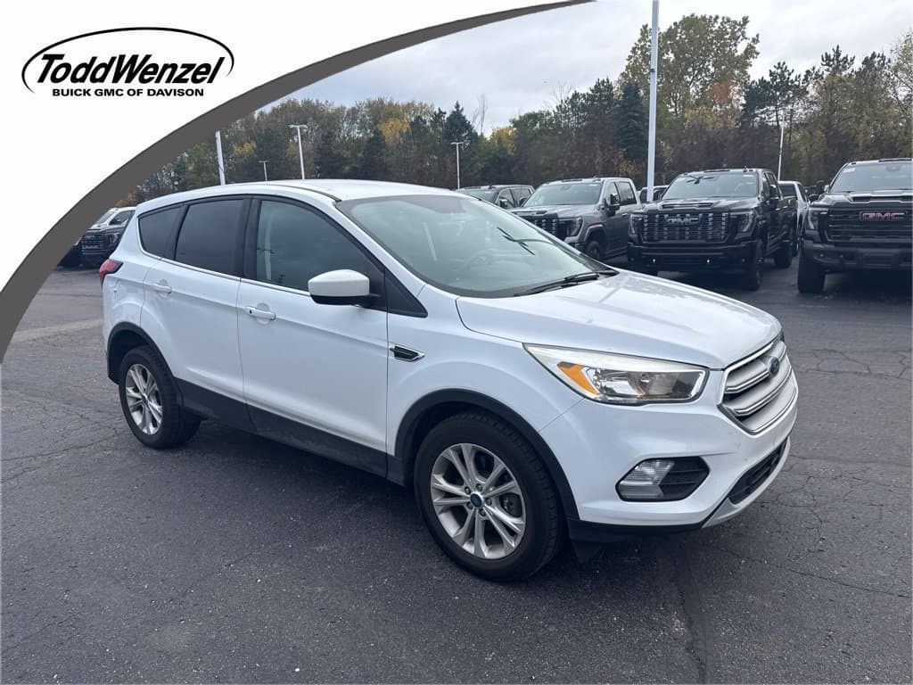 2019 Ford Escape SE — photo 1 of 12