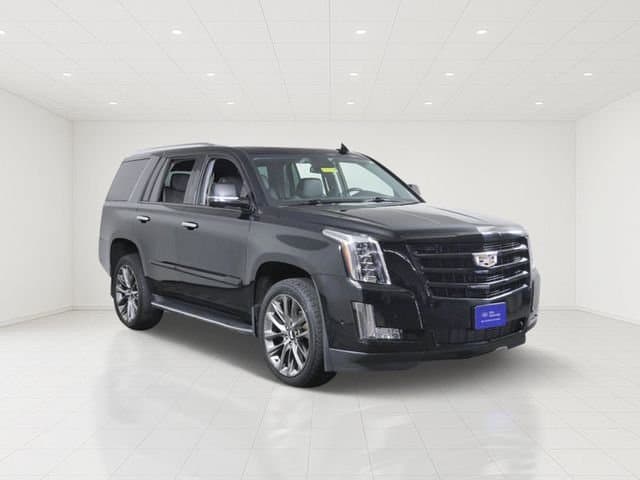 2020 Cadillac Escalade Luxury — photo 1 of 31