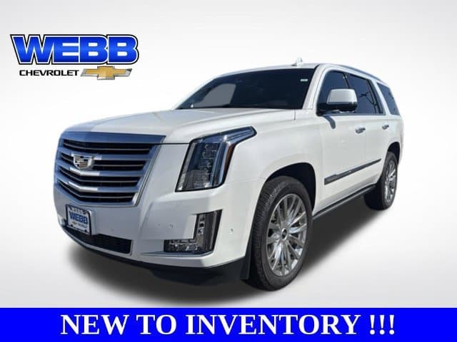 2018 Cadillac Escalade Platinum — photo 1 of 26