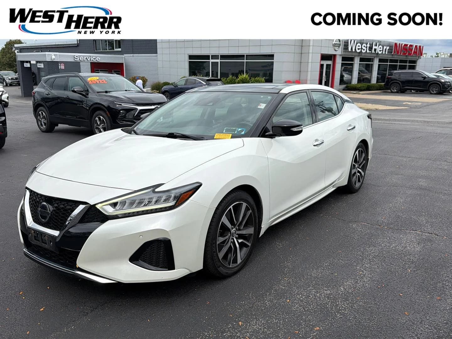 2020 Nissan Maxima SL — photo 1 of 21