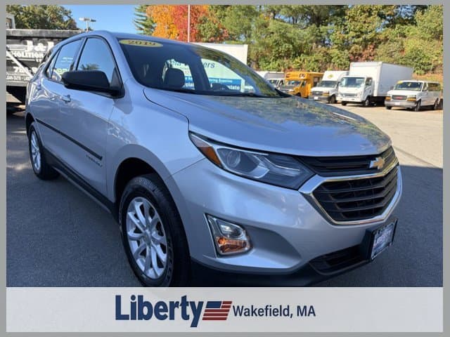 2019 Chevrolet Equinox LS — photo 1 of 4