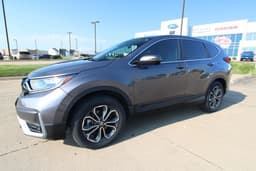 Extra Photo