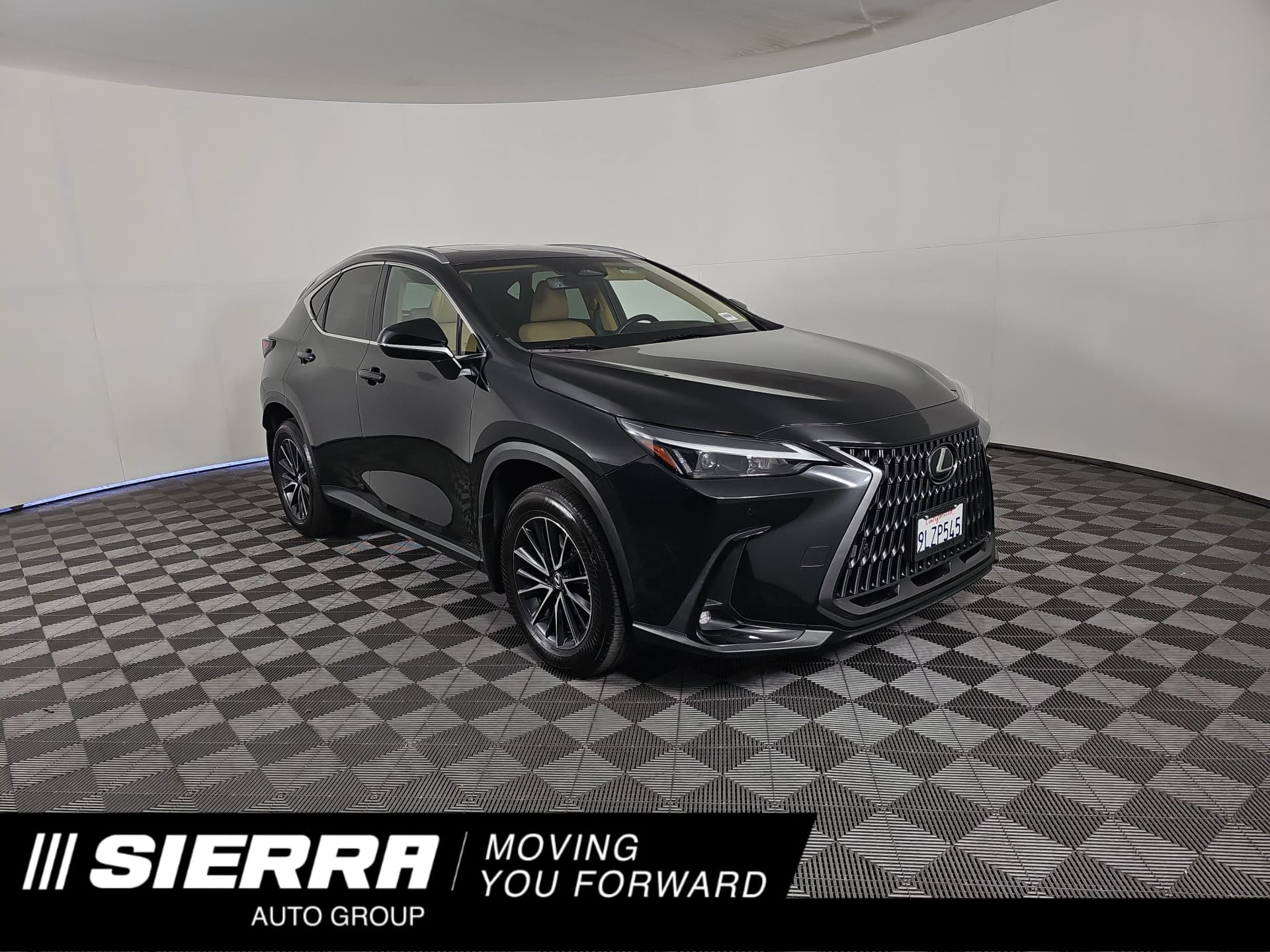2025 Lexus NX NX 250 — photo 1 of 34