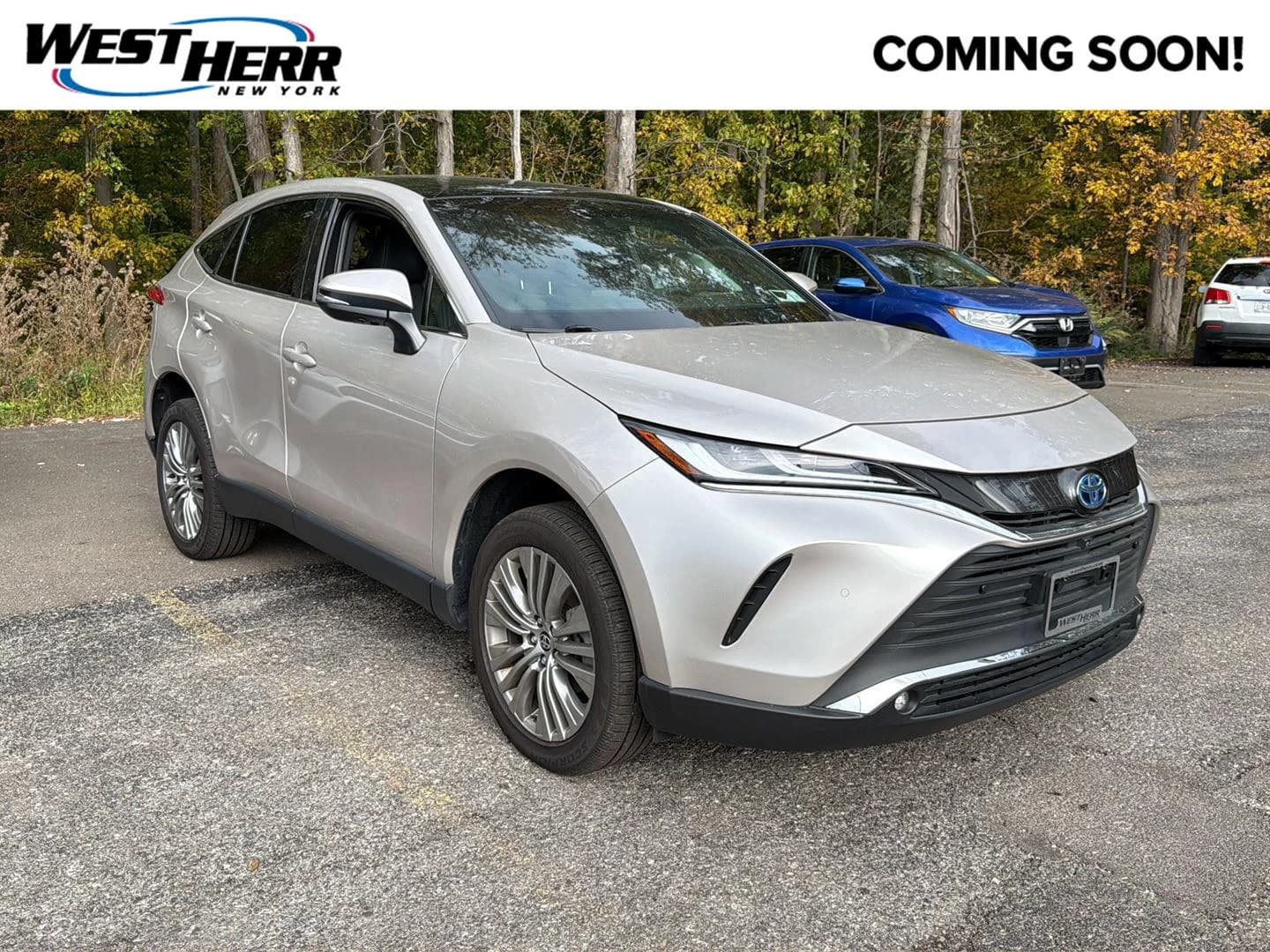 2023 Toyota Venza Limited — photo 1 of 25