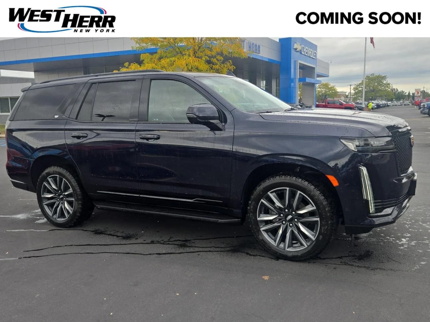 2023 Cadillac Escalade 4WD Sport — photo 1 of 16