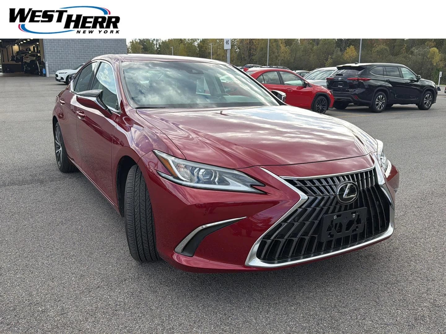 2023 Lexus ES ES 350 — photo 1 of 21
