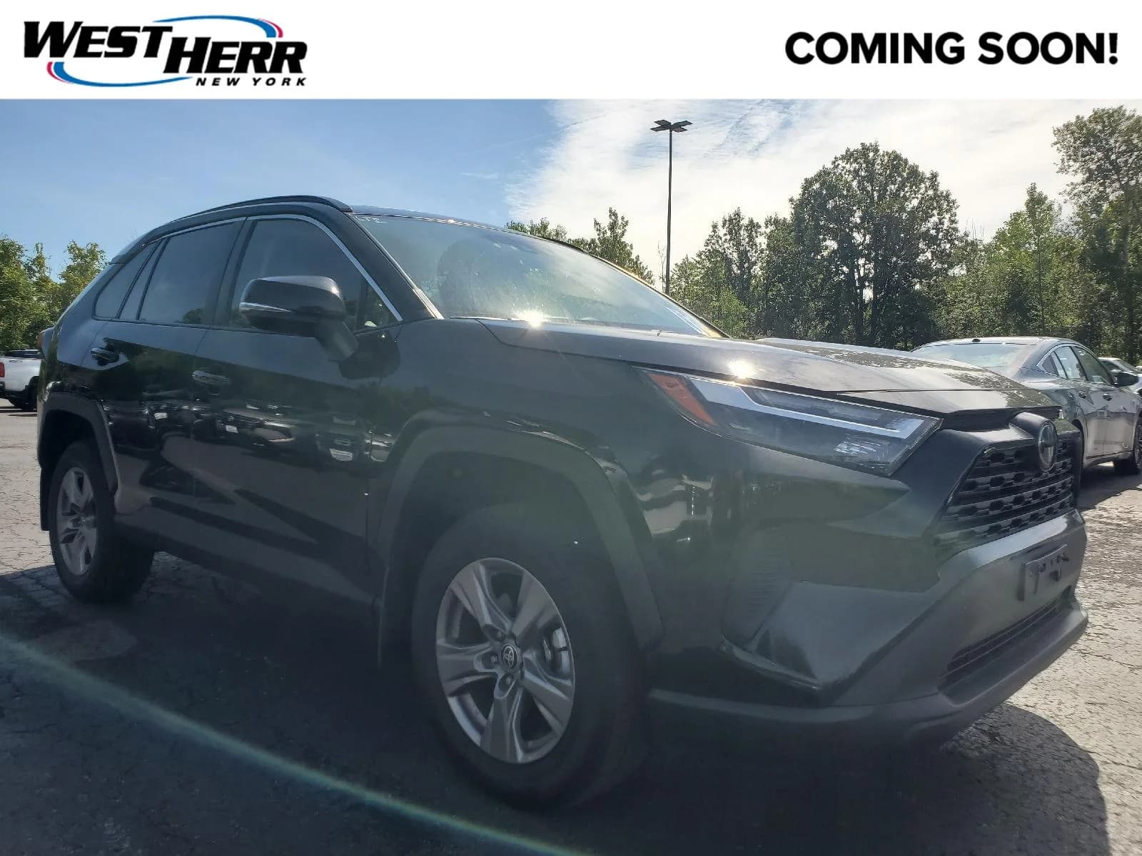 2024 Toyota RAV4 XLE — photo 1 of 17