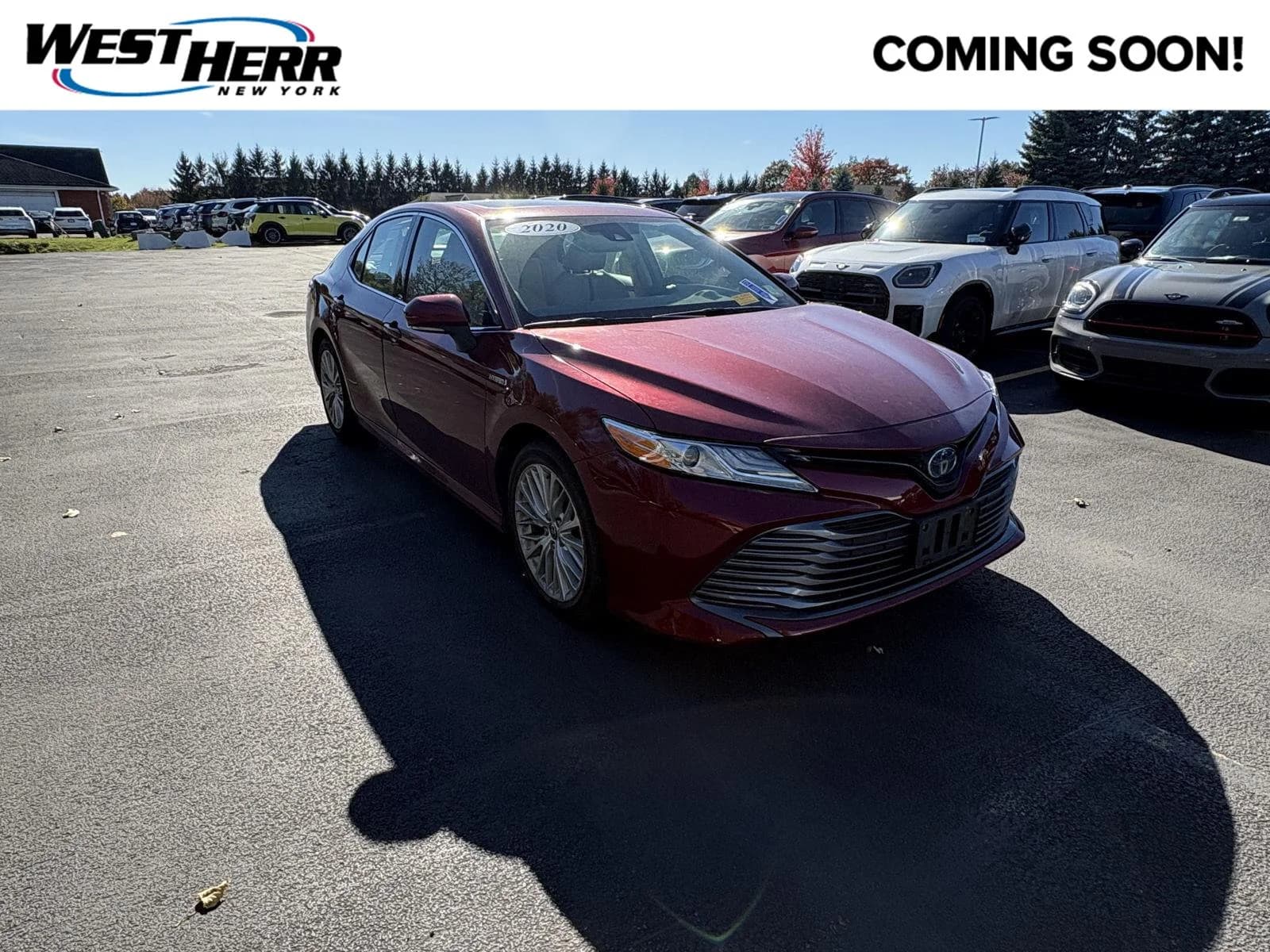 2020 Toyota Camry Hybrid XLE — photo 1 of 10