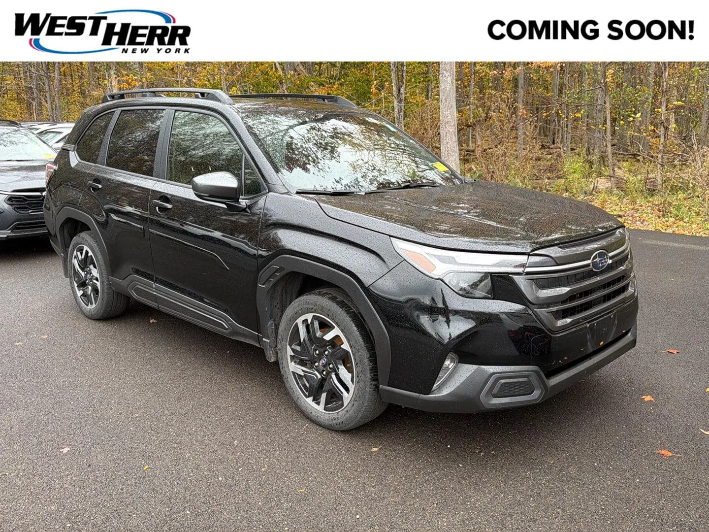 2025 Subaru Forester Limited — photo 1 of 20