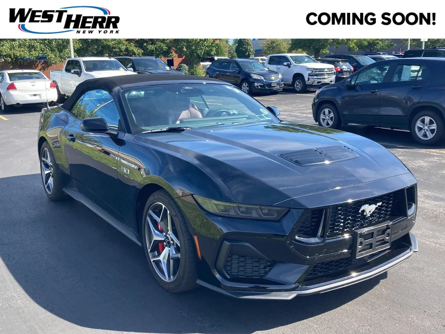 2025 Ford Mustang GT Premium — photo 1 of 22