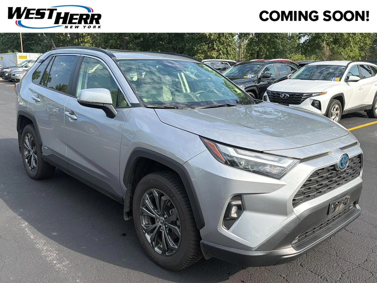 2024 Toyota RAV4 Hybrid XLE Premium — photo 1 of 15