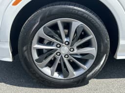 Extra Photo